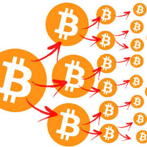 La red de bitcoin es publica y anonima